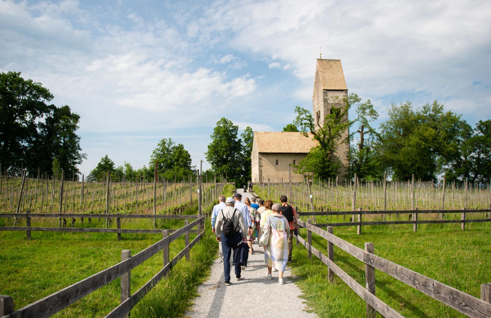 Eine Gruppe unterwegs auf der Insel Ufnau mit Kirche im Hintergrund.