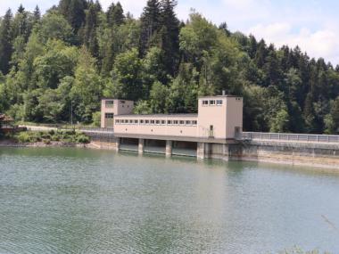 Staumauer